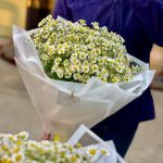دسته گل بابونه