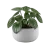 img2-grow-plant